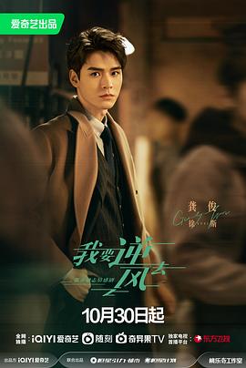 内蒙古seo关键词排名优化软件